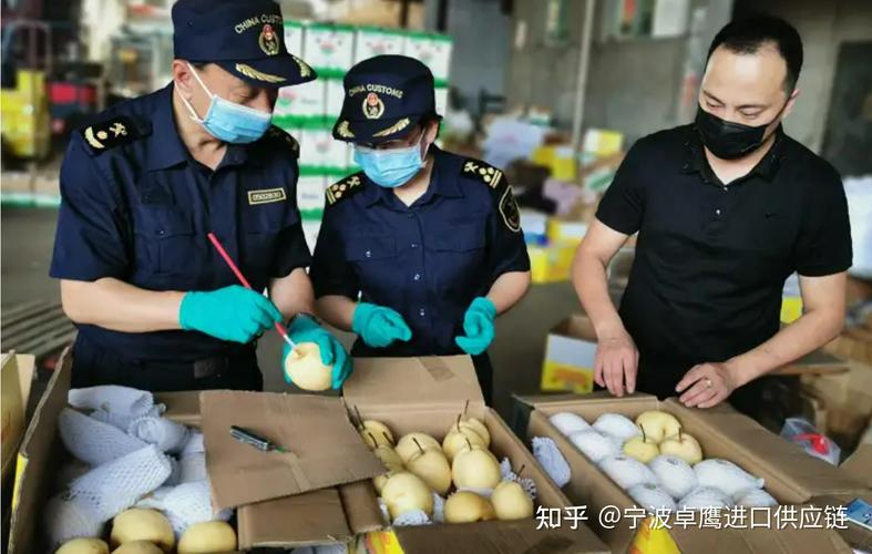 守護舌尖安全 從源頭到貨架的食品準入評估體系解讀